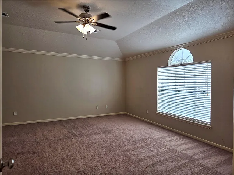 231 Needleleaf Ln — Photo 11