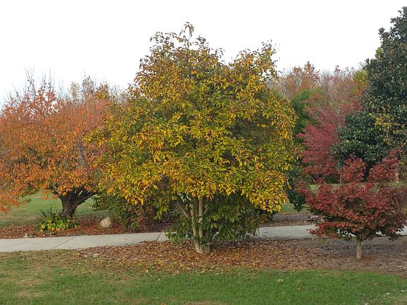 4th image of 3740 Coles Ferry Park