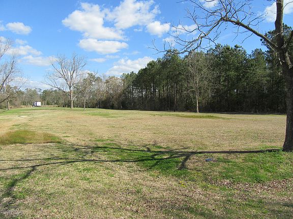 4th image of 250 Alligator Loop Road LOT Tract 1-A