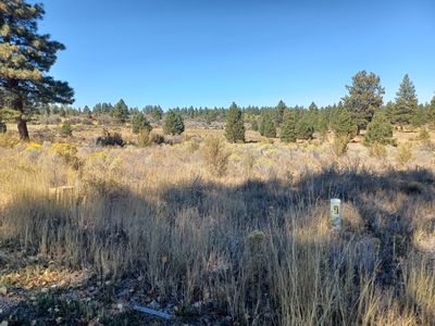 Newbold Rd LOT 19, Chiloquin, OR, 97624