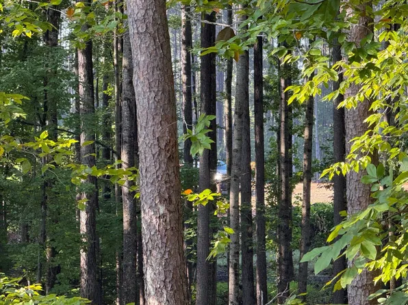 0 Gum Tree Rd, Orange, VA 22960
