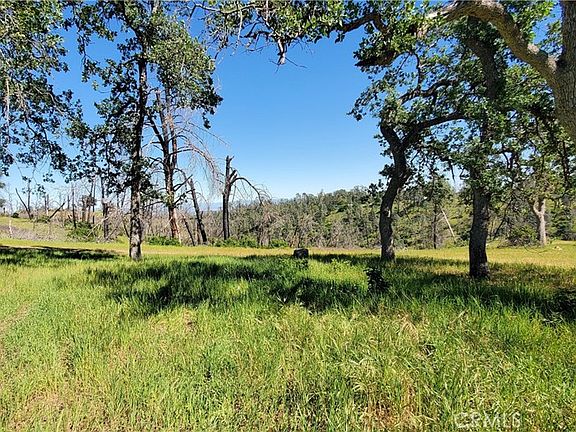 5th image of 15687 Stagecoach Rd Lot 637