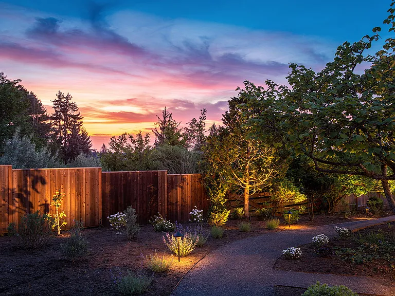 Back Yard - Dusk
