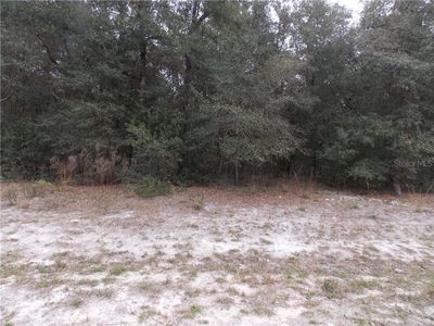 656h, Webster, FL, 33597