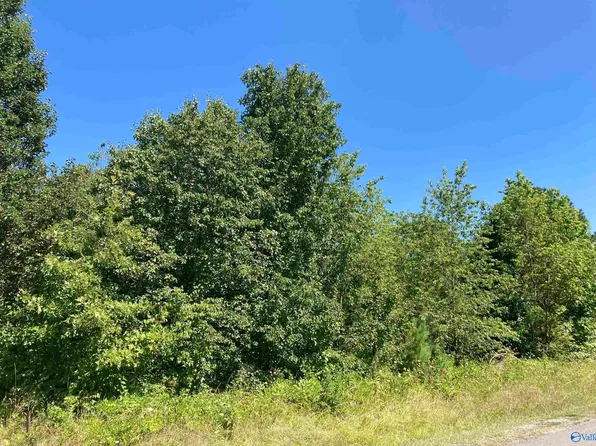 170 County Road 465, Centre, AL 35960