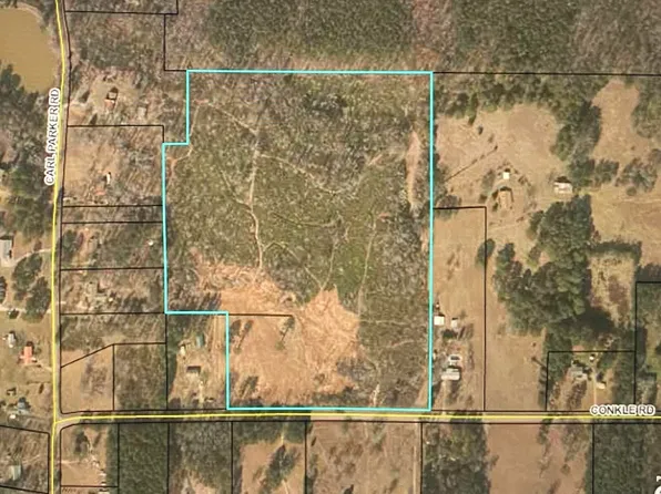 0 Carl Parker Rd Tract 1, Hampton, GA 30228