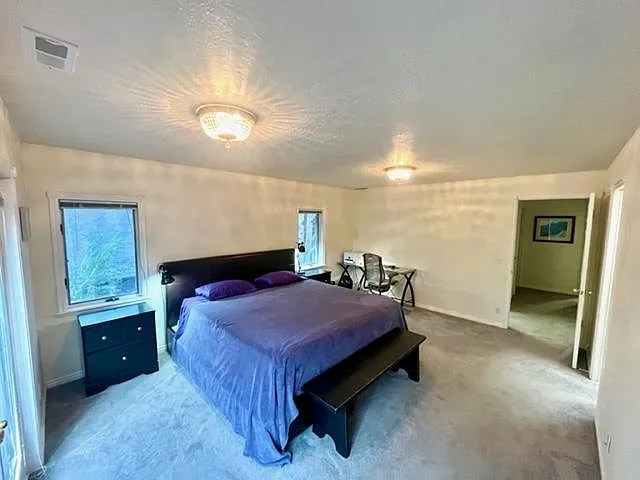 2492 Lily Langtry Ct — Photo 19