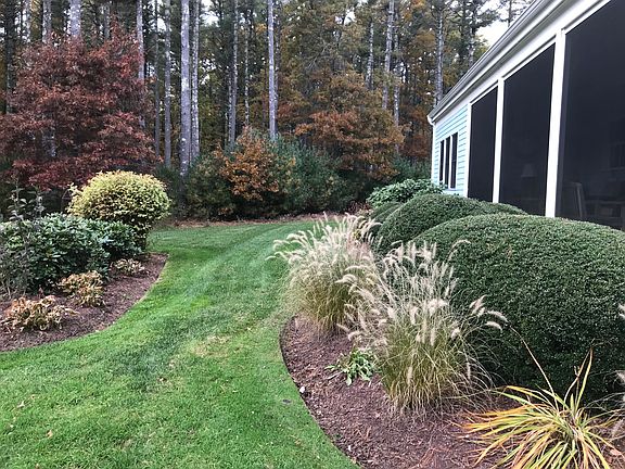Side yard in fall.
