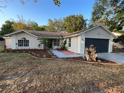 12443 Wedgefield Dr, Grand Island, FL, 32735