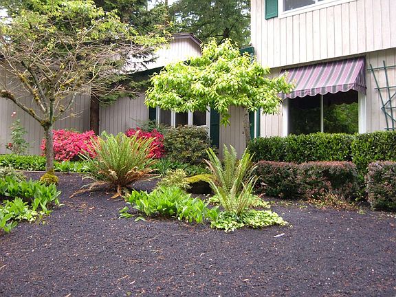 Front yard
