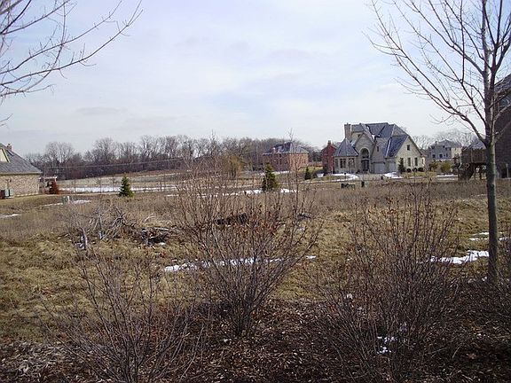 3rd image of 7251 Litchfield Ct