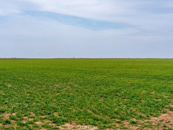 County Road 381, Anson, TX 79501