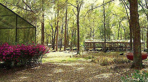 Rear looking toward greenhouse