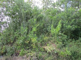 Awa St LOT 229, Pahoa, HI 96778