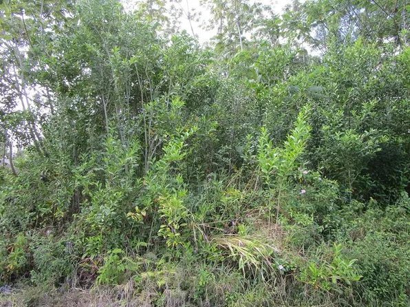 Awa St Lot 229, Pahoa, HI 96778
