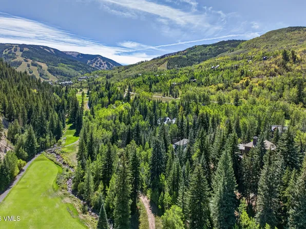 173 S Fairway Dr, Beaver Creek, CO 81620