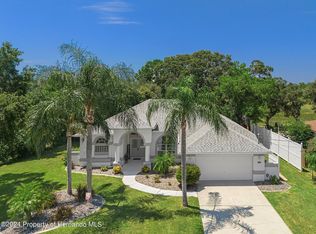 2649 Waterfall Dr, Spring Hill, FL 34608
