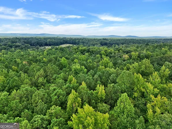 0 Adams Rd, Thomaston, GA 30286