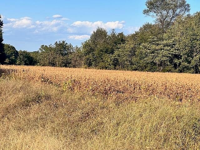 2nd image of 0 County Road 189