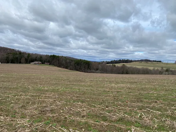 150 Lloyds Rd, Cherry Tree, PA 15724