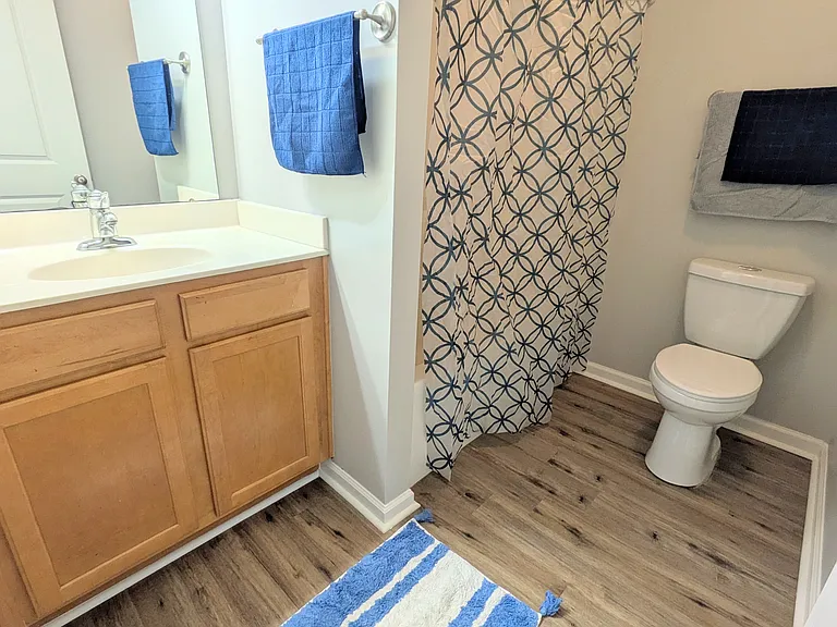 Hall bathroom