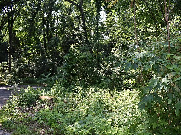 Image 5: DSC_0005