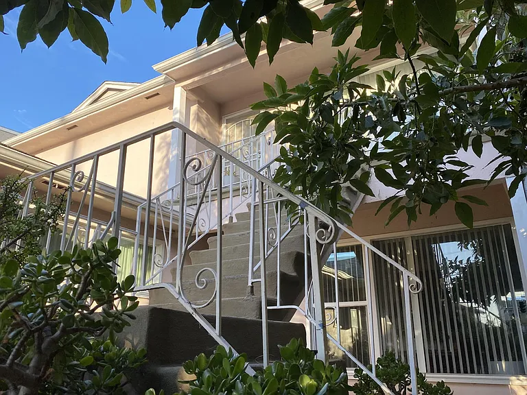 Looking up the stairs, through the tree canopy, toward your unit.