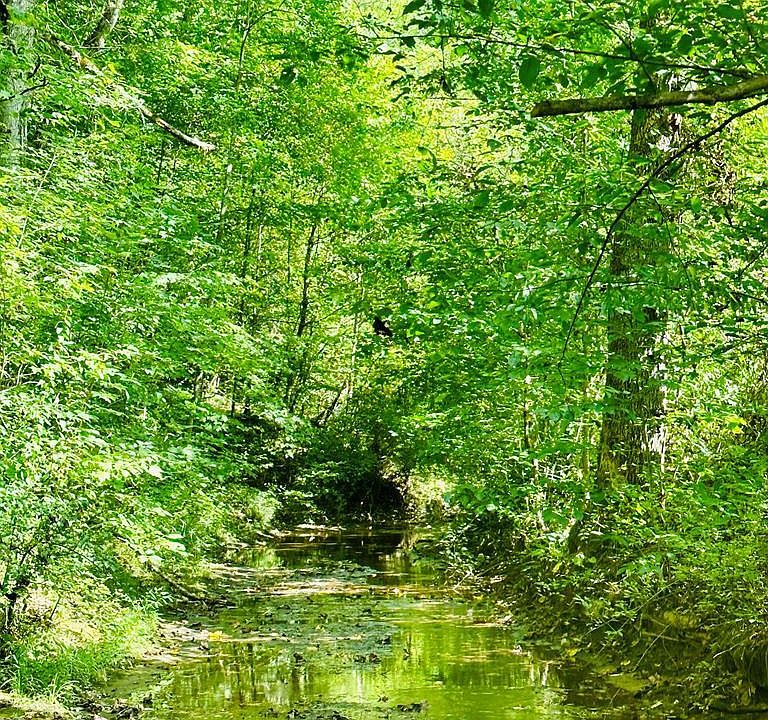 1st image of 0 Jake Wireman Fork Rd