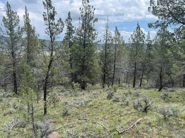 6 Overland Trl, Macdoel, CA 96058