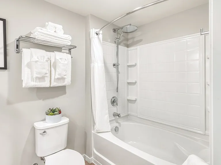 63 E Lake Apartment bathroom