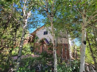 336 County Road 463, Grand Lake, CO 80447