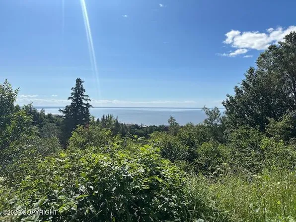 L16-B9 Romania Dr, Anchorage, AK 99516