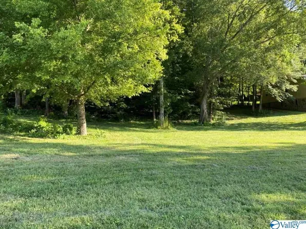 Spring Creek Dr, Guntersville, AL 35976