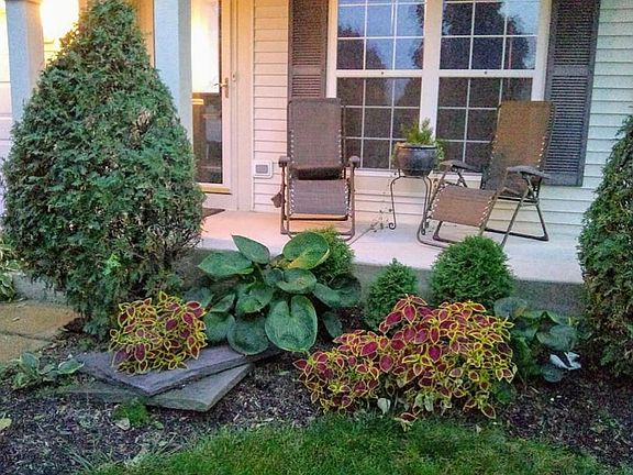 Mature front landscape