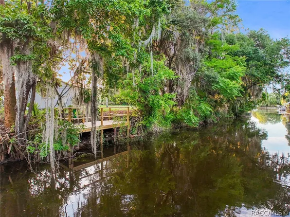 10117 E Bass Cir, Inverness, FL 34450