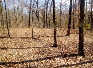 LT128 Beech Tree Dr, Ellijay, GA 30540