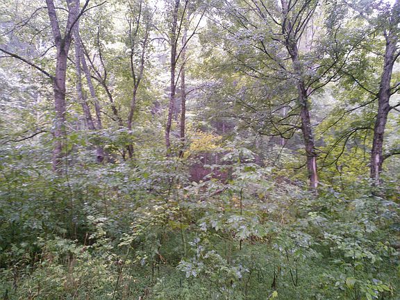 2nd image of 624 Goodfield Creek Rd