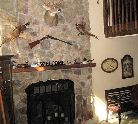   Living Room Fireplace