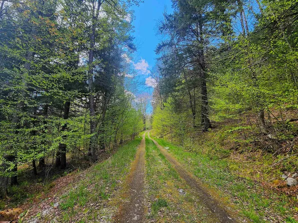 0 Linden Way, Chester, VT 05143