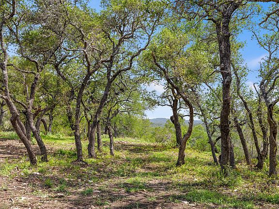 4th image of Pedernales Dr Lot 7