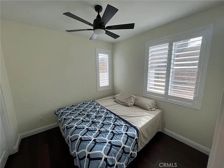 26221 Painted Daisy — Photo 6