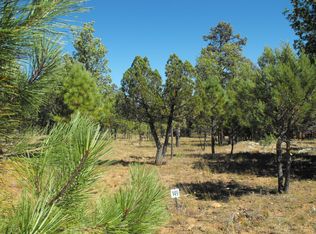 2167 San Juan Dr, Happy Jack, AZ 86024