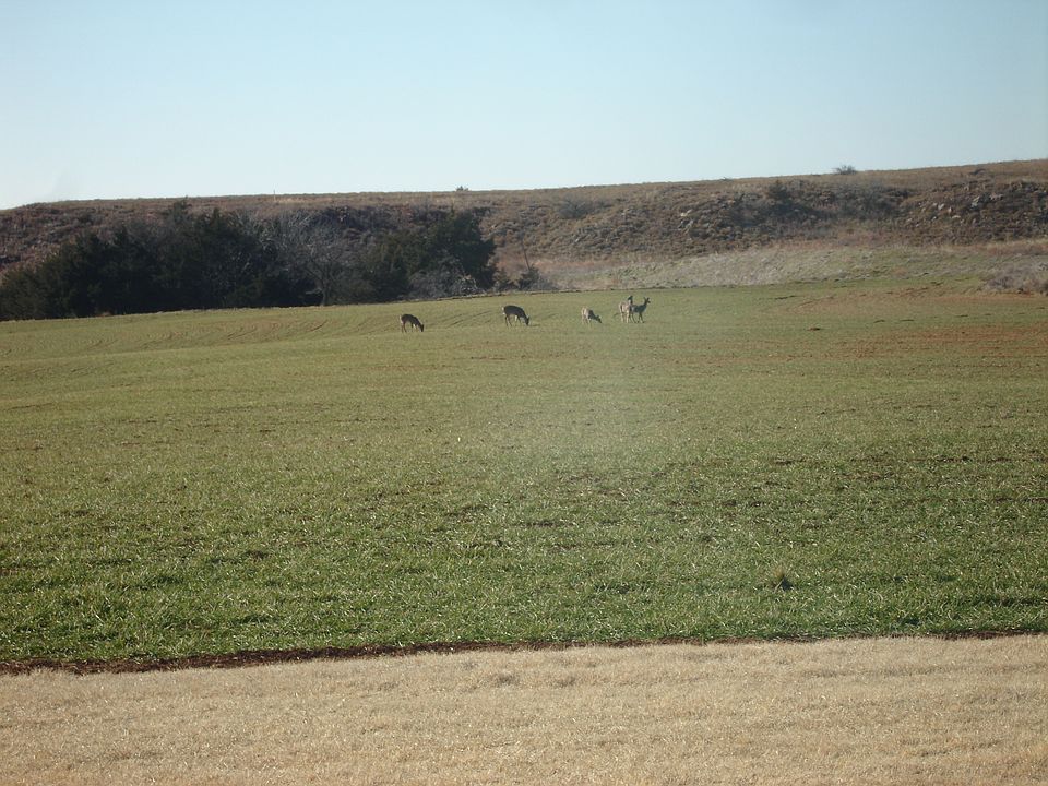 2nd image of 11027 N 2410th Rd
