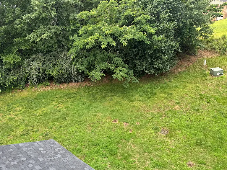 Green belt behind building