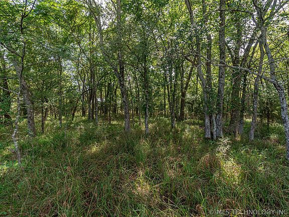 5th image of 0 Ew County Rd #119
