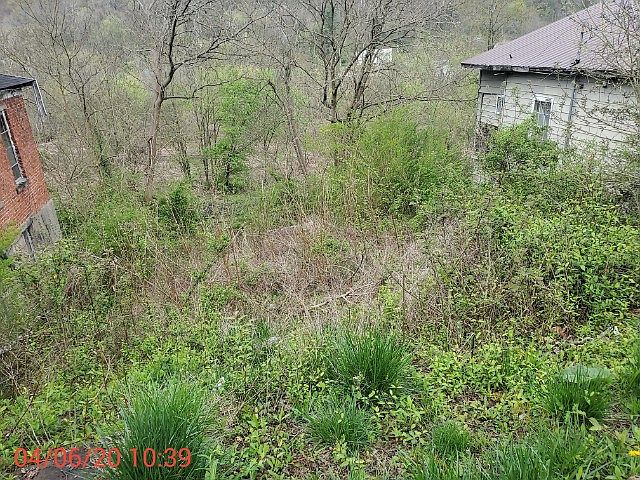 2nd image of 637 Dingess St