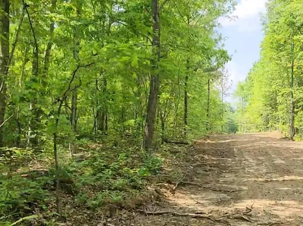 51D Scott Line Rd, Sunbright, TN 37872