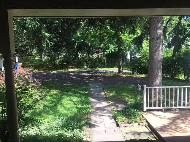 Driveway view from side door