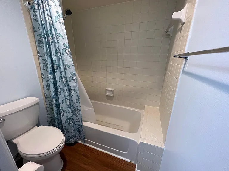 Master bath with new toilet