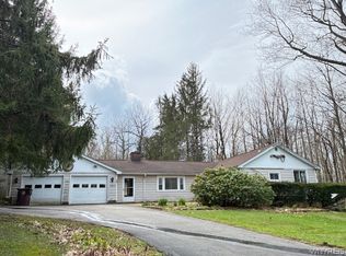 3811 Schintzius Rd, Eden, NY 14057